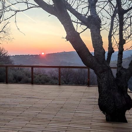 "Cara Pace" In Collina Per Famiglie Bed and Breakfast Montefiore Conca Exteriör bild