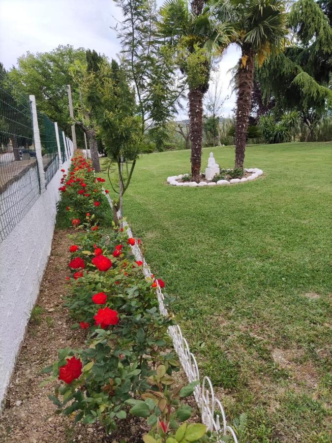 "Cara Pace" In Collina Per Famiglie Bed and Breakfast Montefiore Conca Exteriör bild