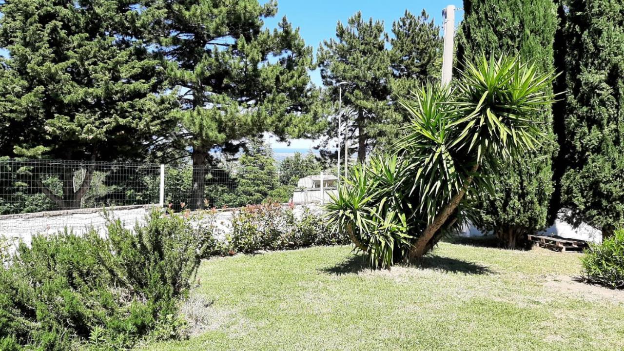 "Cara Pace" In Collina Per Famiglie Bed and Breakfast Montefiore Conca Exteriör bild